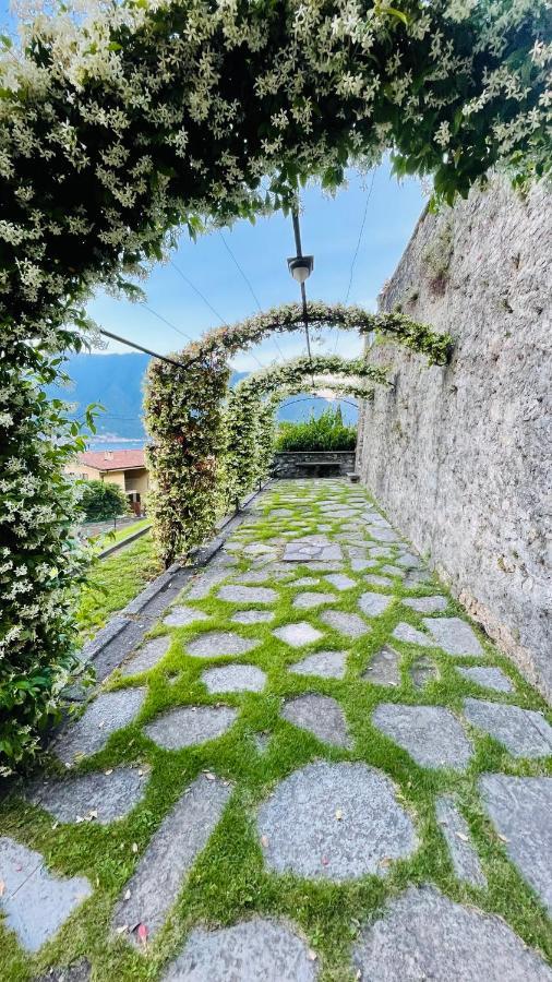 Lake View, Swimming Pool, Tennis Court And Private Parking Mezzegra Extérieur photo